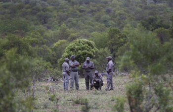 trackers-wildlife-safari-kruger-south-africa